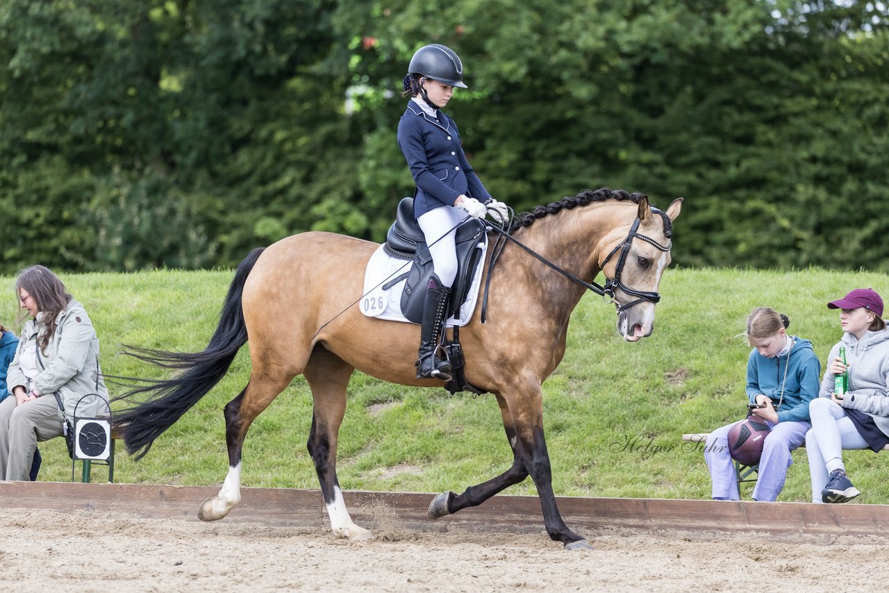 Bild 354 - Pony Akademie Turnier